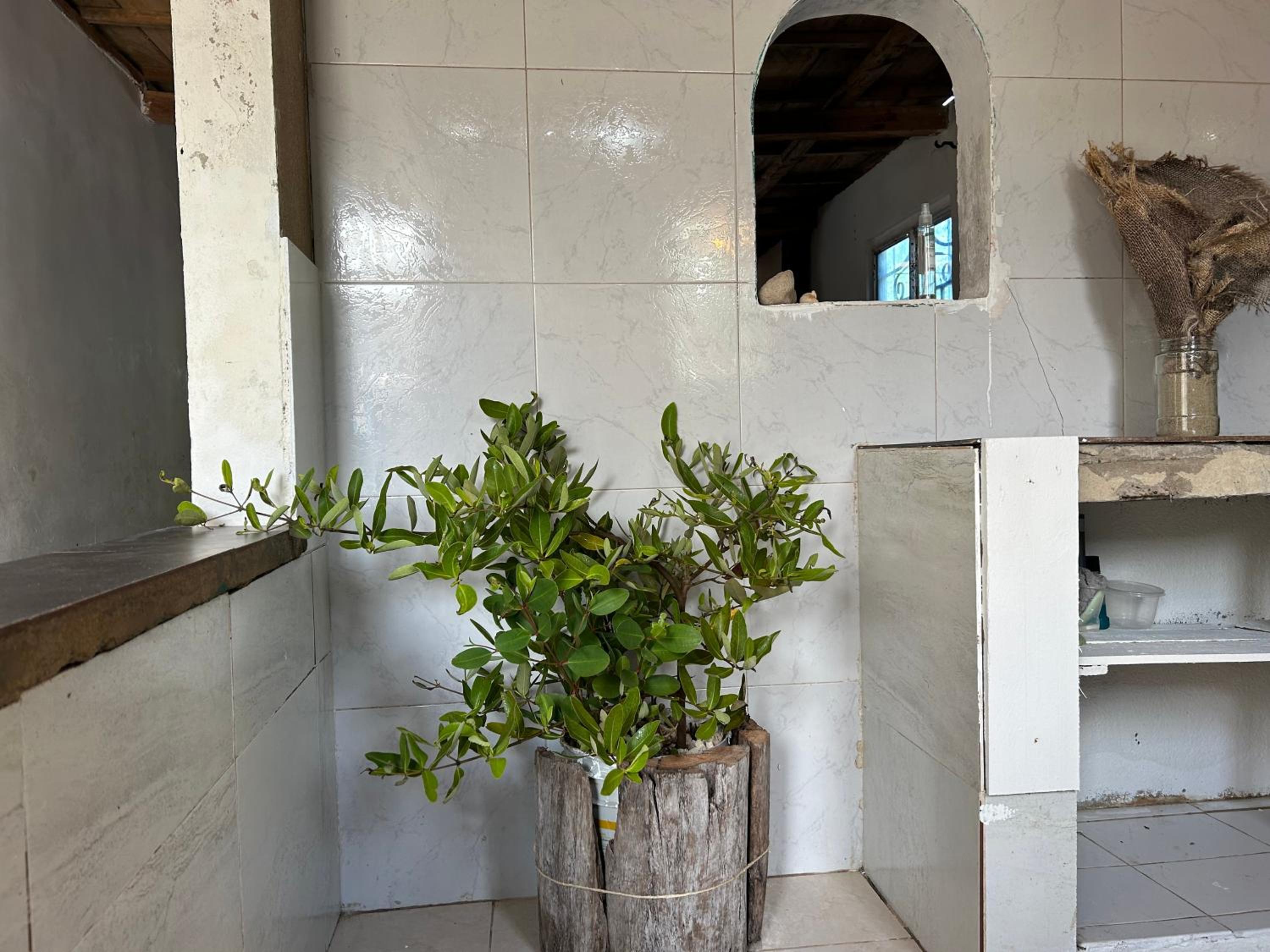 EcoHostal and EcoFit Completo02