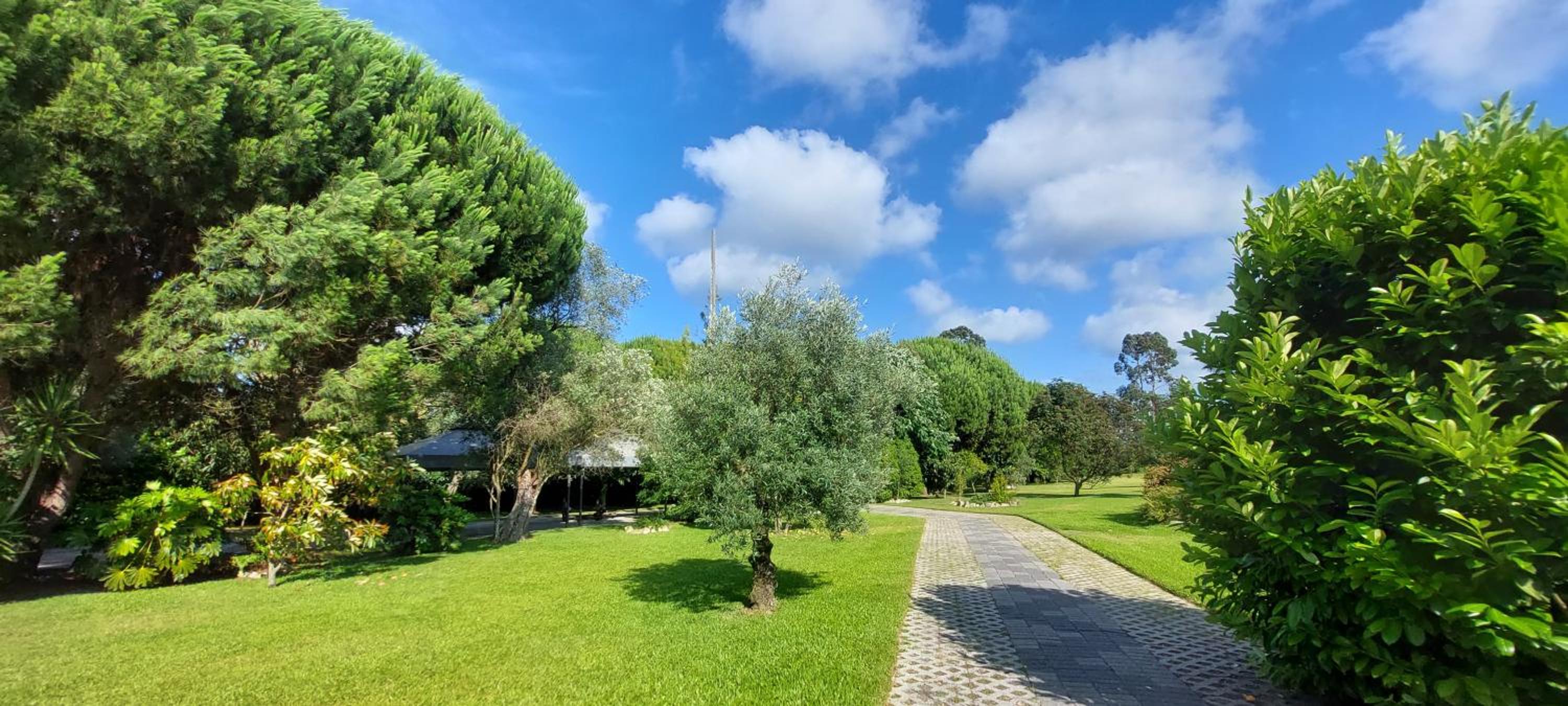 Quinta do Mateus view 3