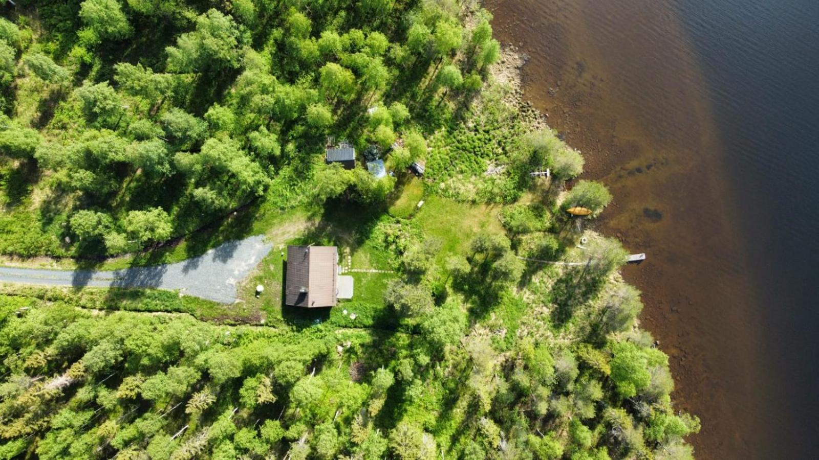 Villa kitkanhelmi