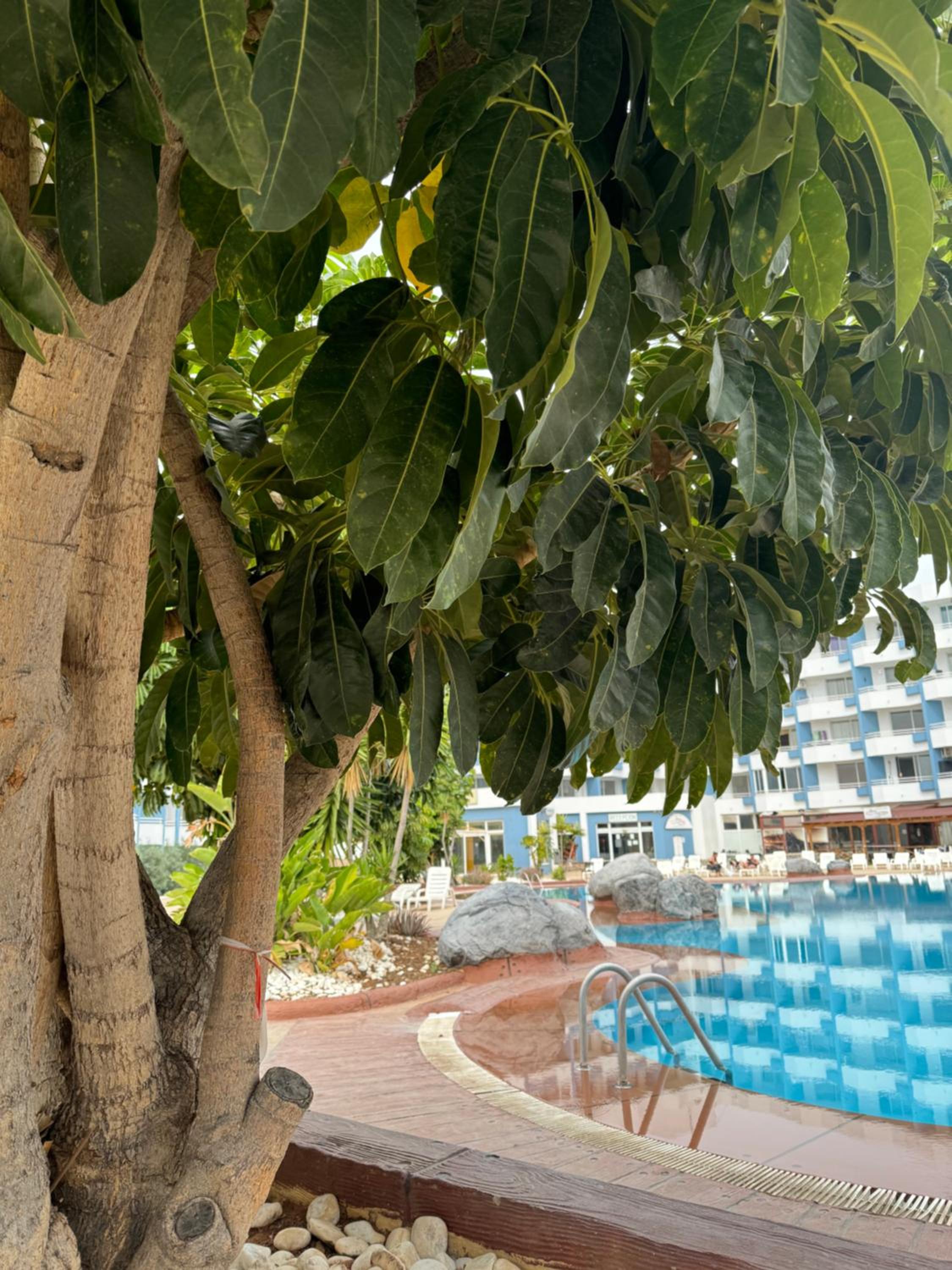 Island Paradise a studio with a kitchenette, private bathroom and balcony, in a complex with 3 swimming pools, 800m away from the ocean front