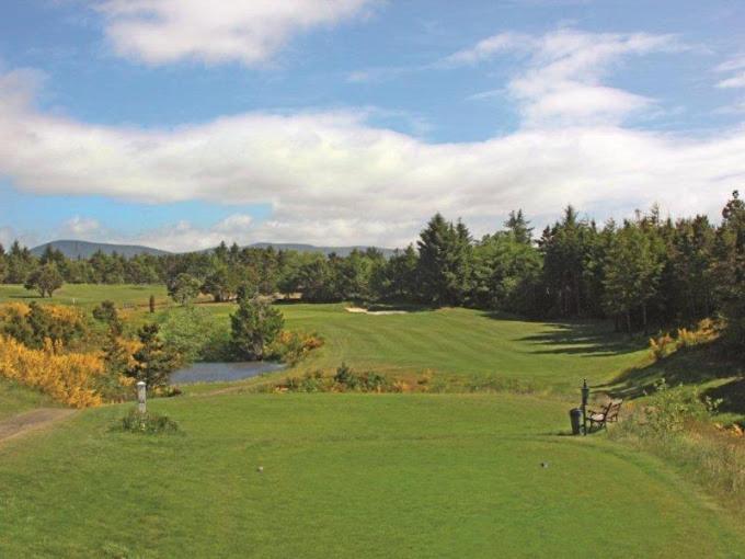 Photo 77