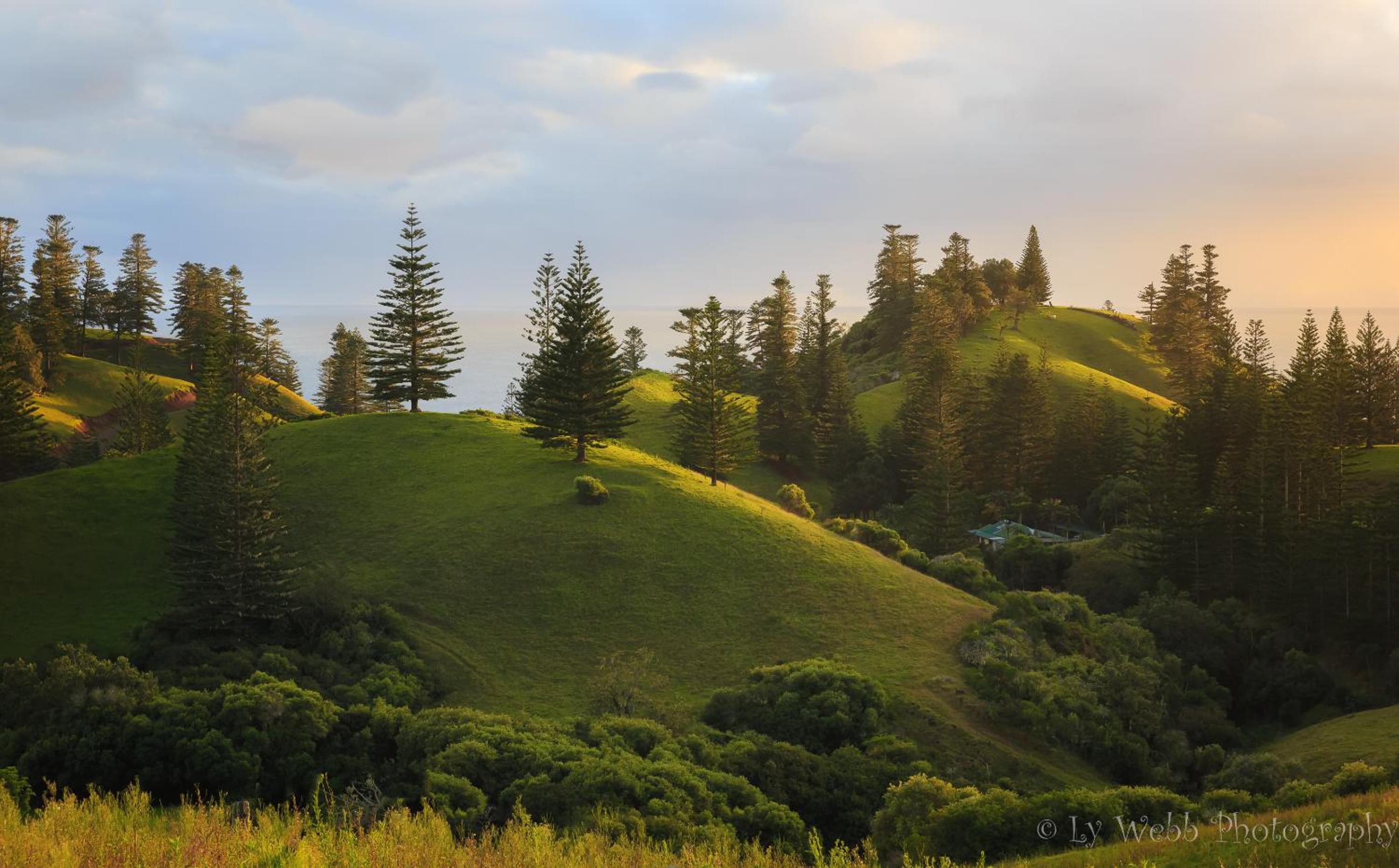 The Ridge