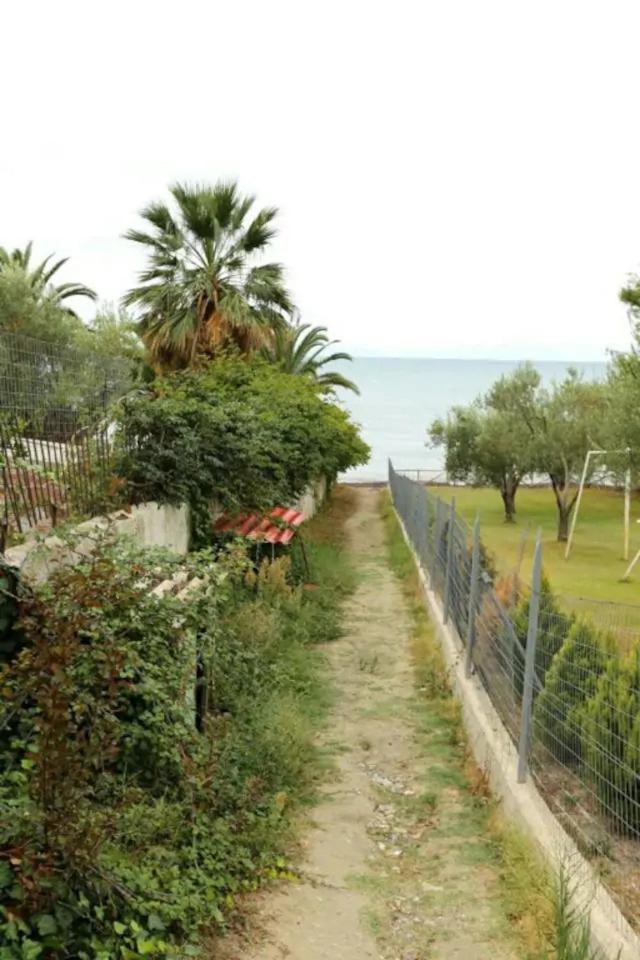 Photo 42