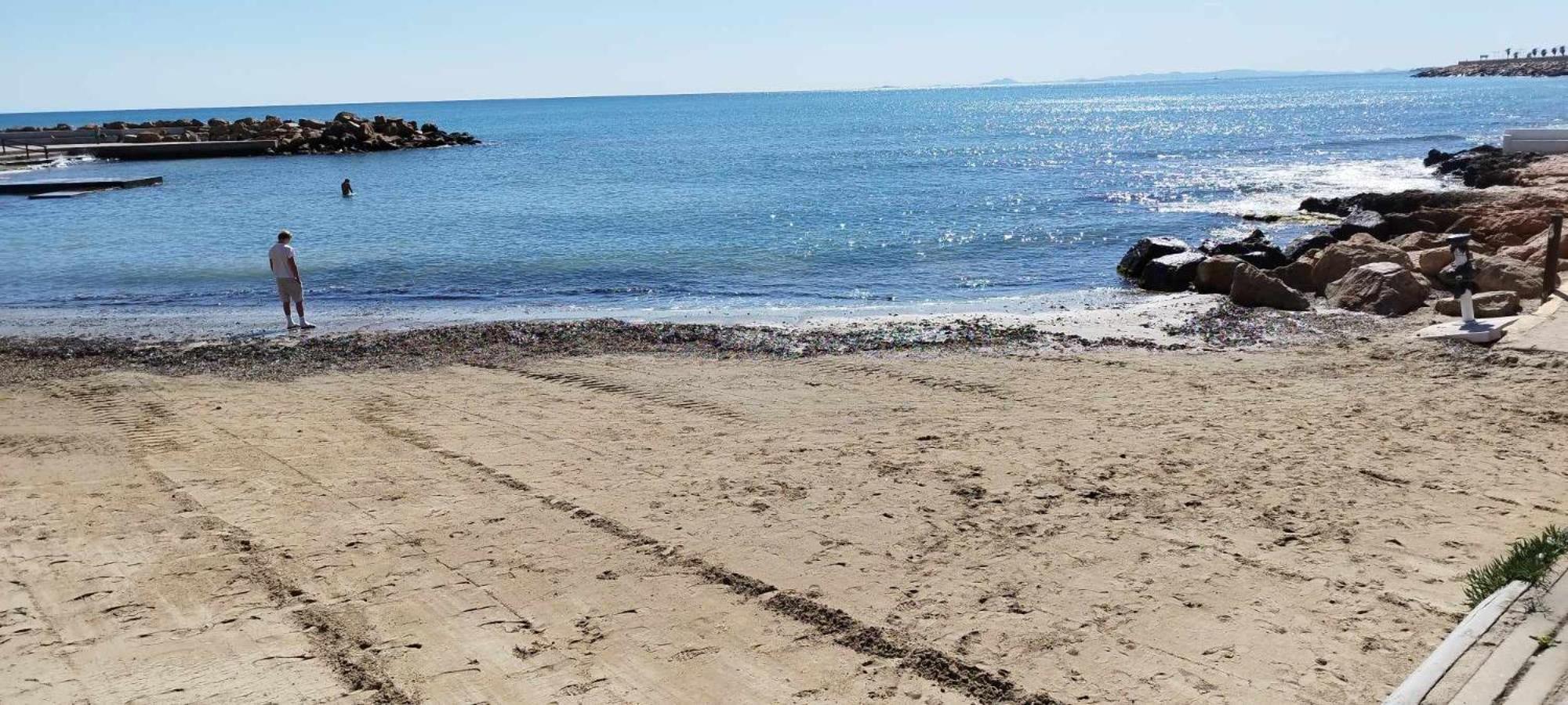 Seaview Torrevieja CityCenter CuraBeach 50m Apartment