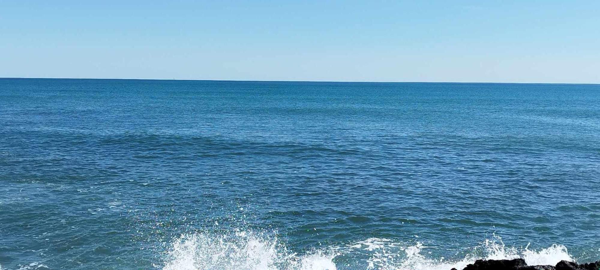 Seaview Torrevieja CityCenter CuraBeach 50m Apartment
