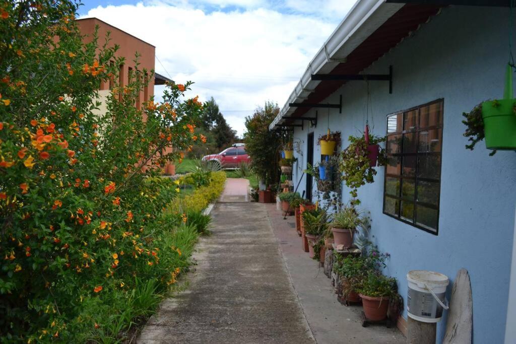 Finca El Ciprés