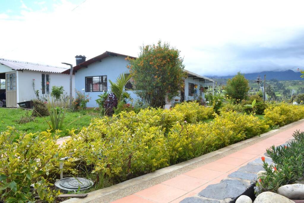 Finca El Ciprés