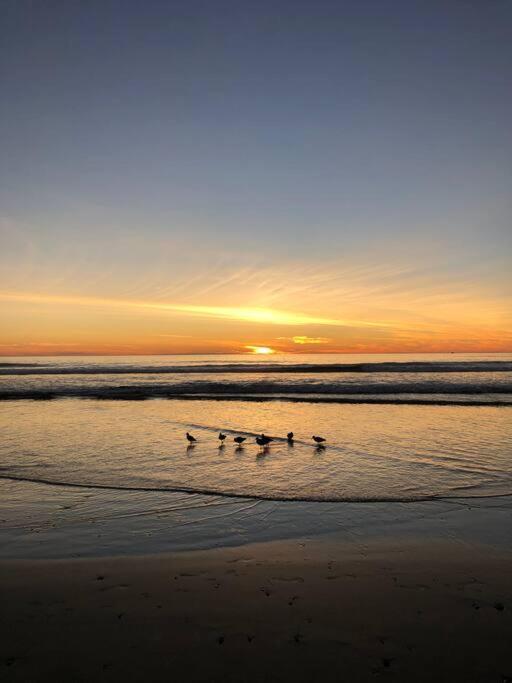 Be steps away from the beach - Downtown Rosarito