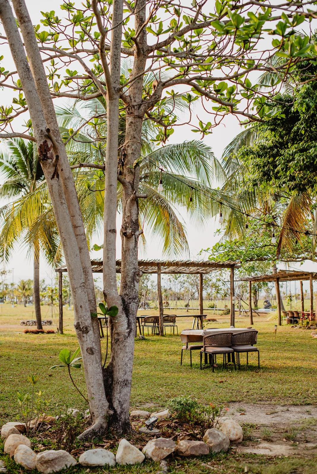 Samanea Beach Resort & Spa