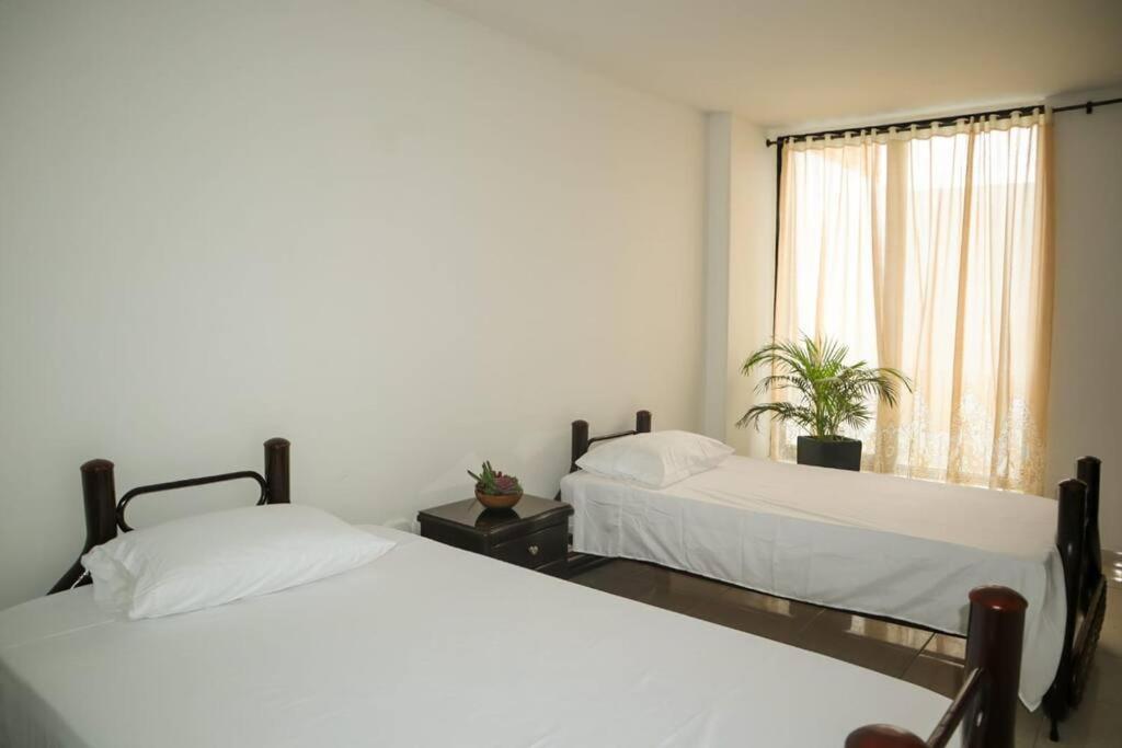 Guayacán Casa Hostal