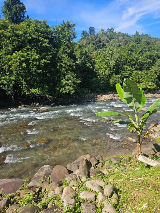 Rugading Riverside Villa near Kota Kinabalu. photo 2