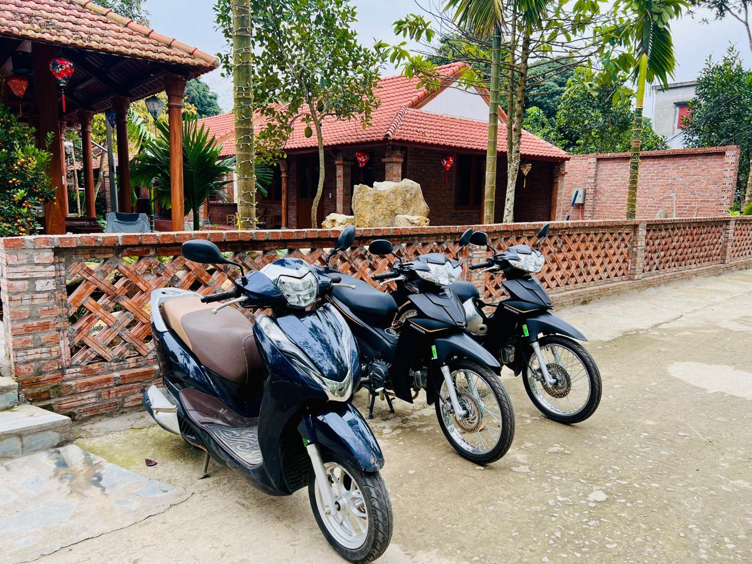 Ninh Binh Family Homestay