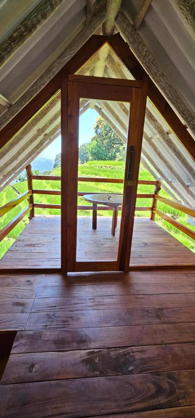 Kingdom of Rustic Ella view 4