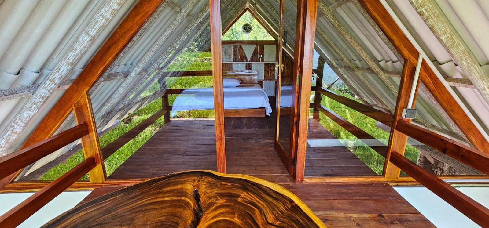 Kingdom of Rustic Ella view 5