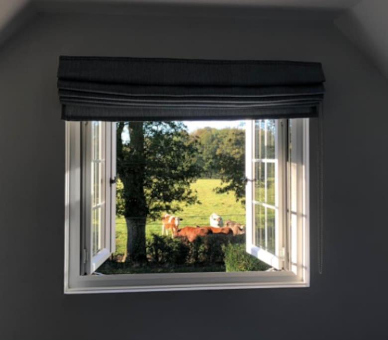Renovated private studio in Wittersham