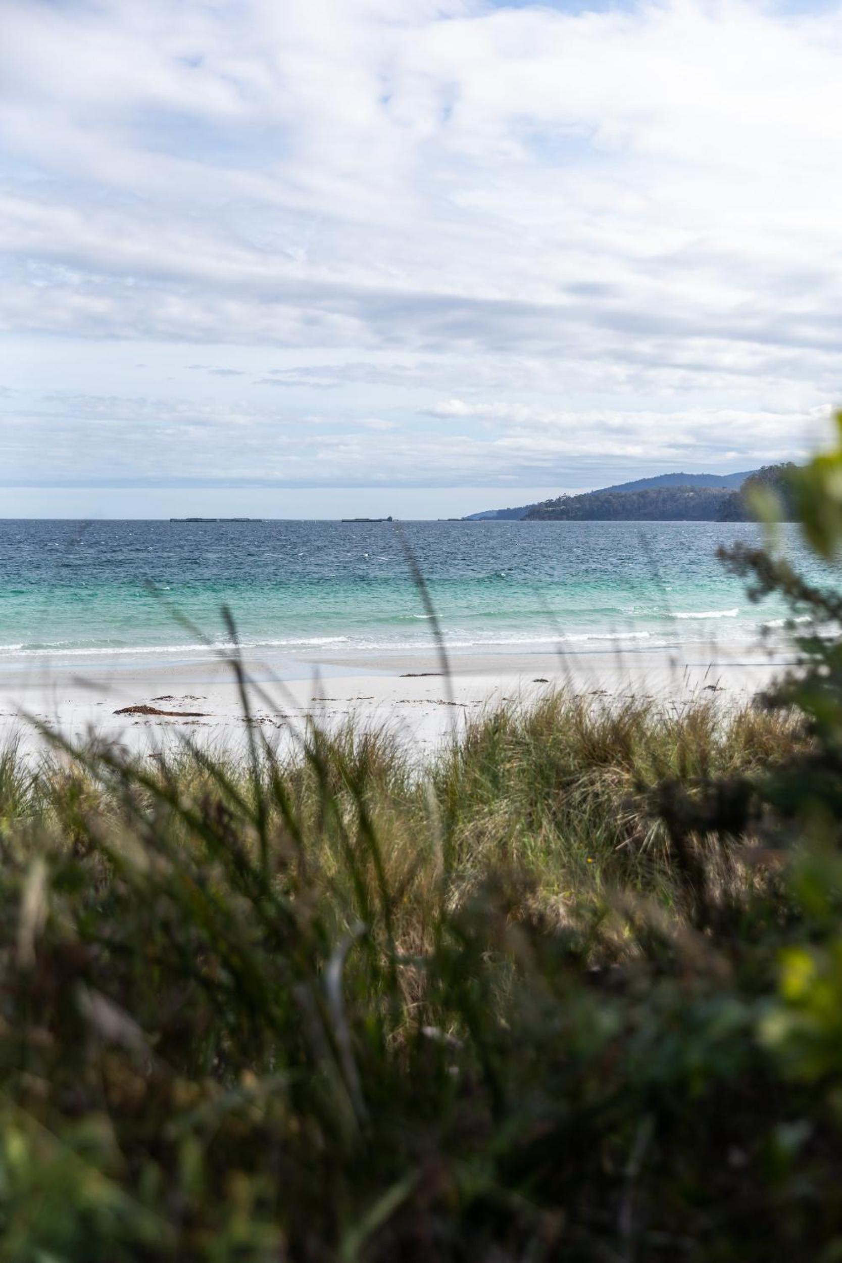 44onRoaring - in the Huon Valley
