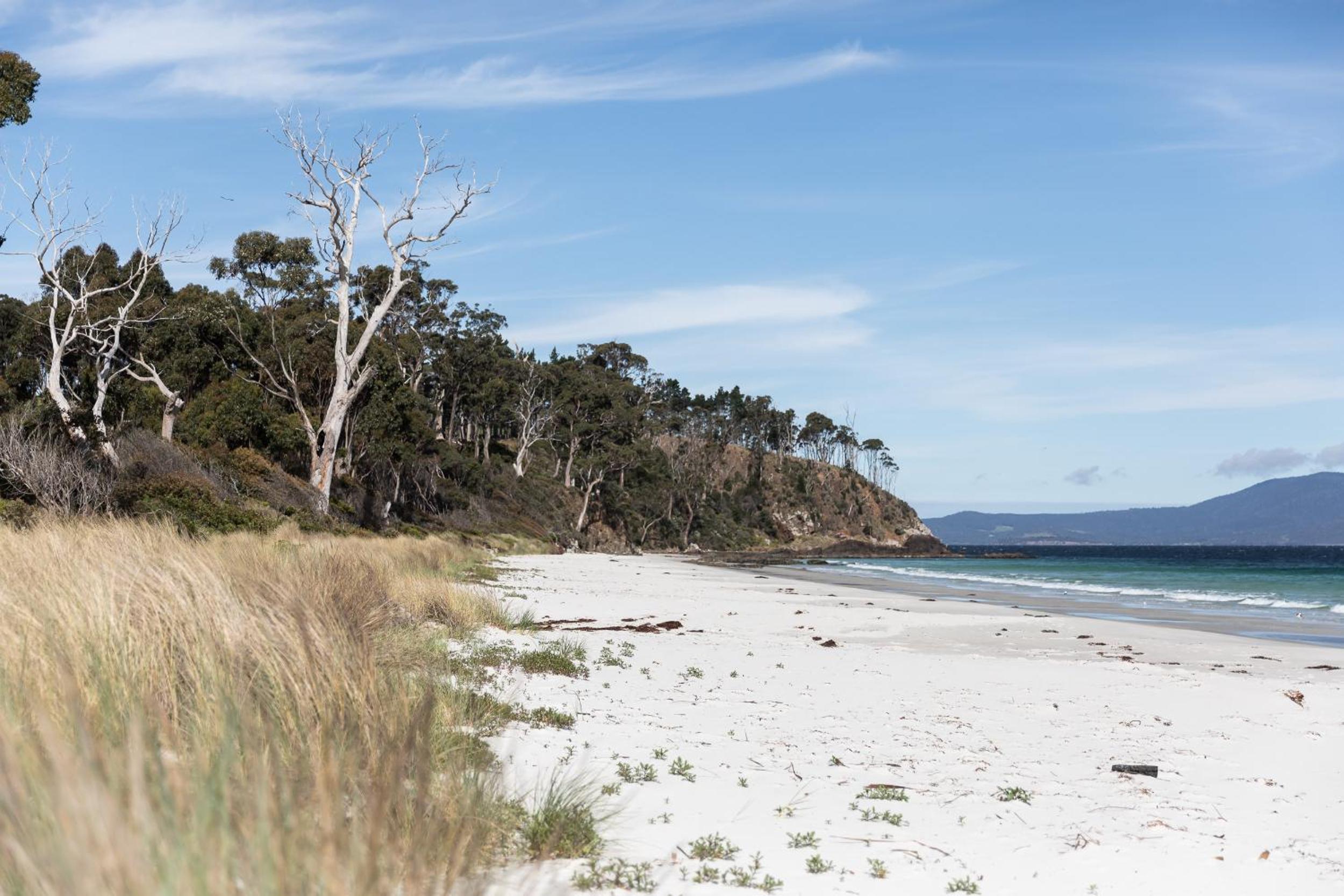 44onRoaring - in the Huon Valley