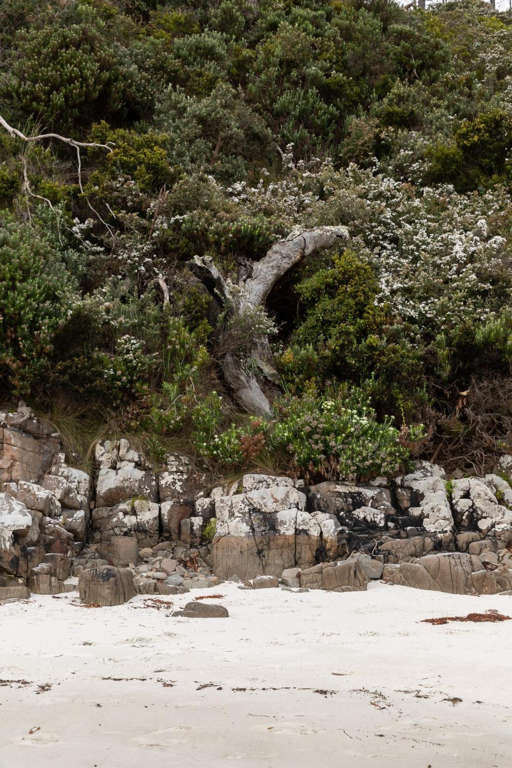 44onRoaring - in the Huon Valley