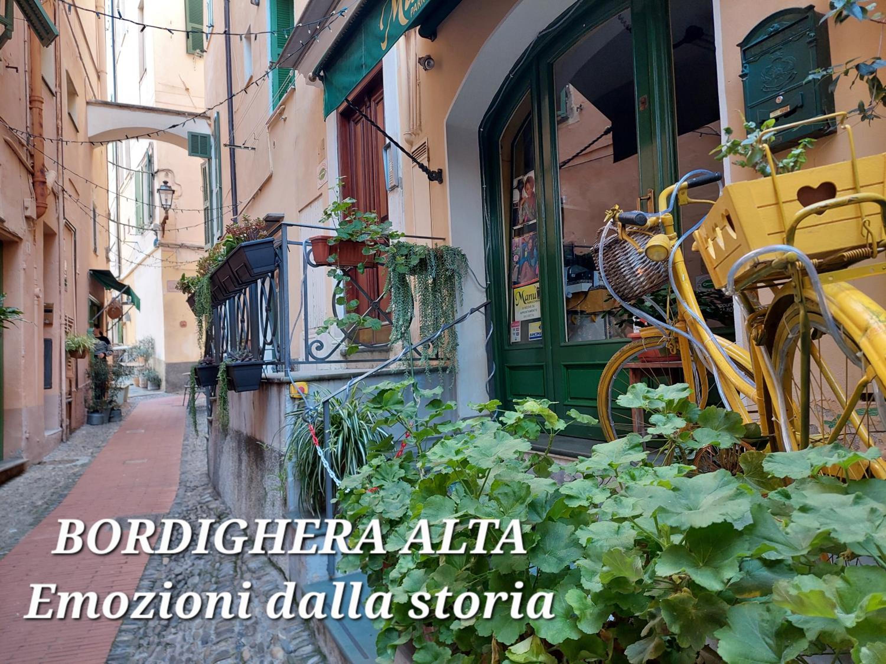 Photo 46
