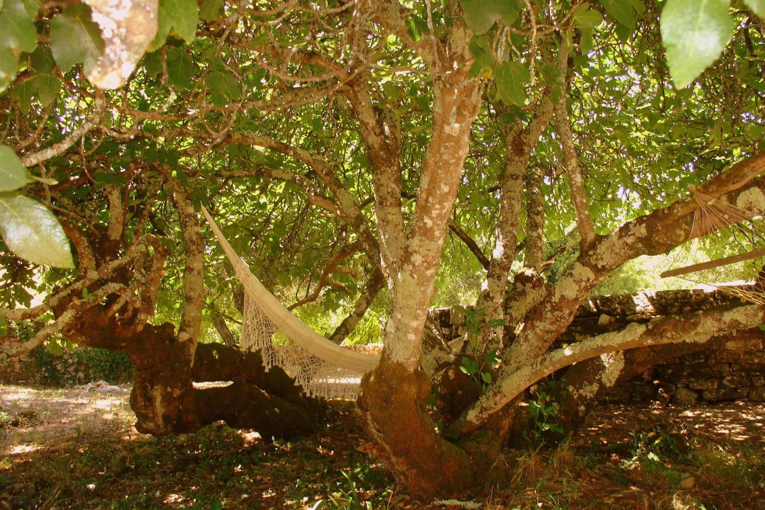 Photo 41