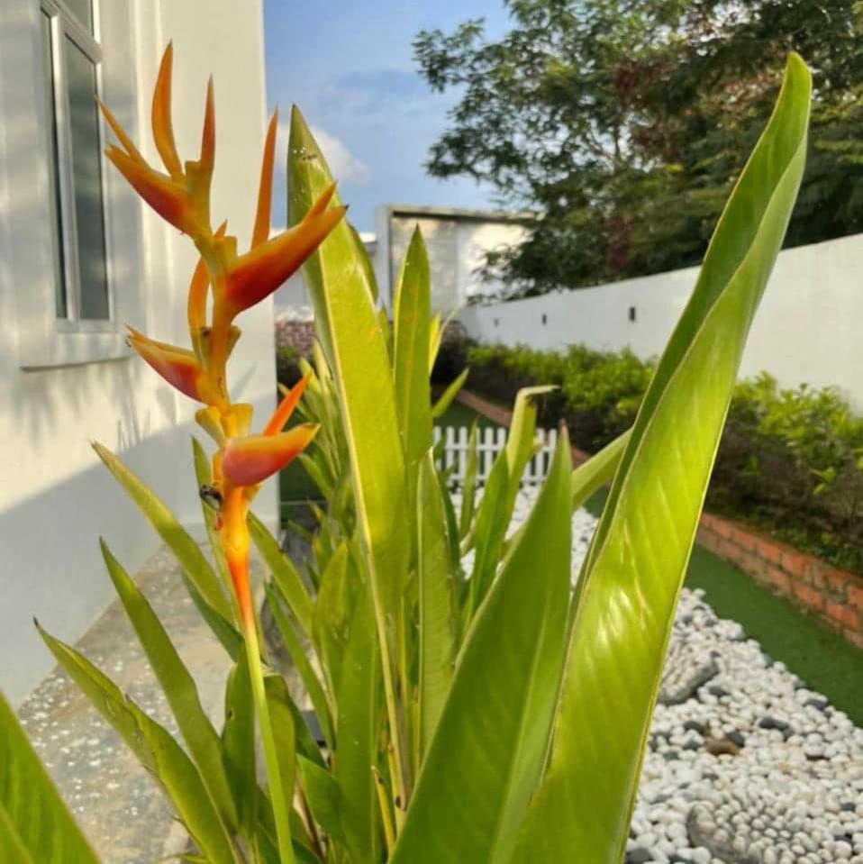 ANJUNG KASEH Villa Bukit Katil 4bedroom with Swimming Pool