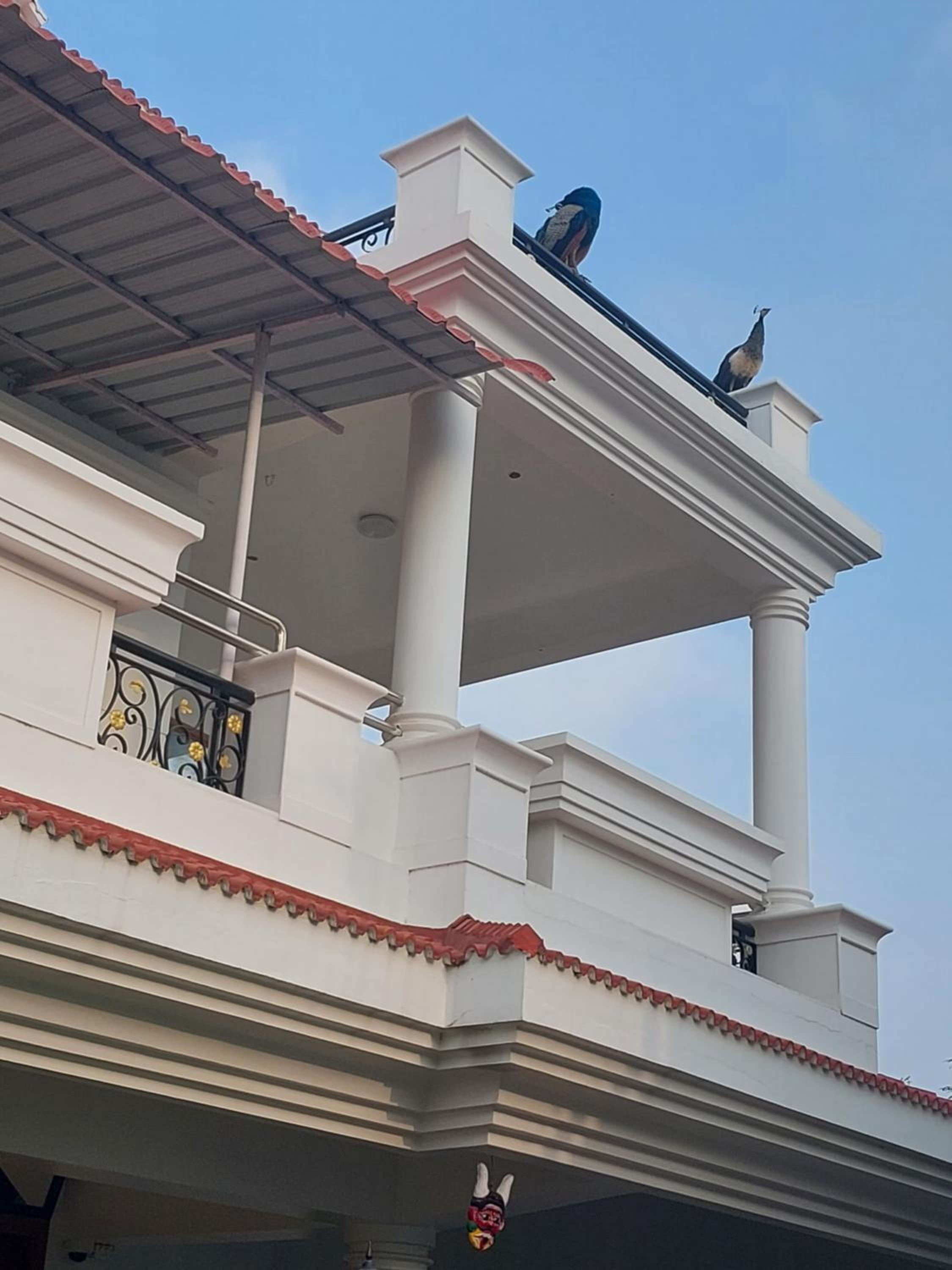Shri Sai Baba Homestay - EB Colony - Trichy view 4