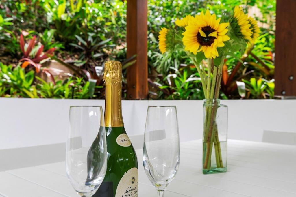 Sunshine Beach Home - Dog friendly- walking distance to Sunshine Beach and cafes