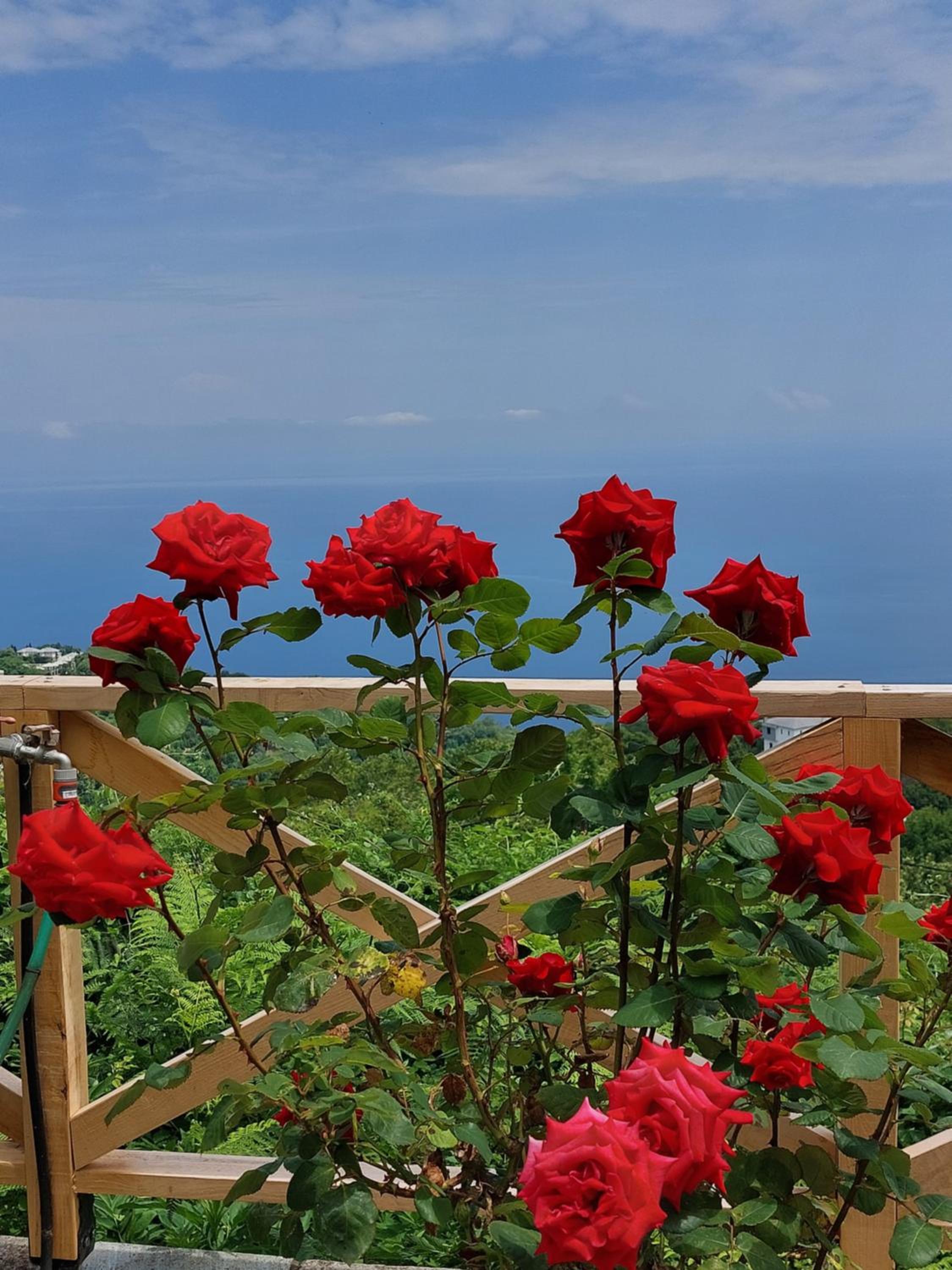 Θαλλώ Luxurious Villa view 3