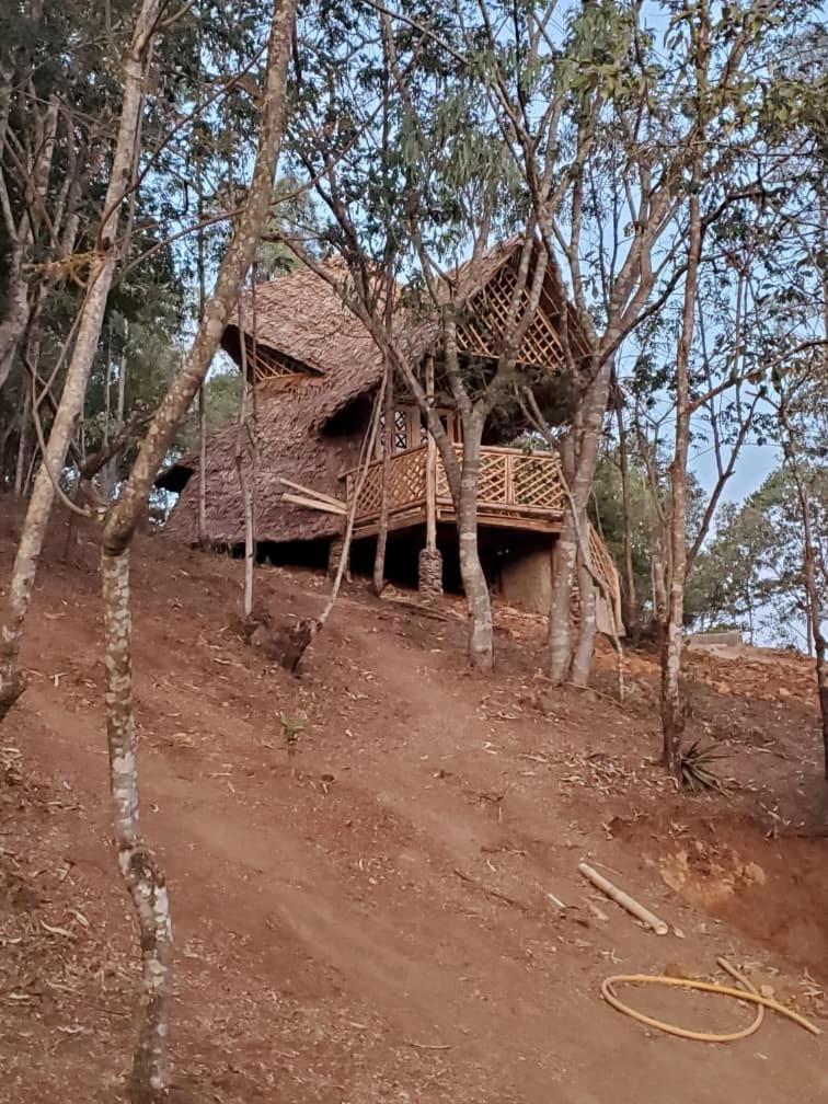 Ngorongoro Economy Lodge view 5