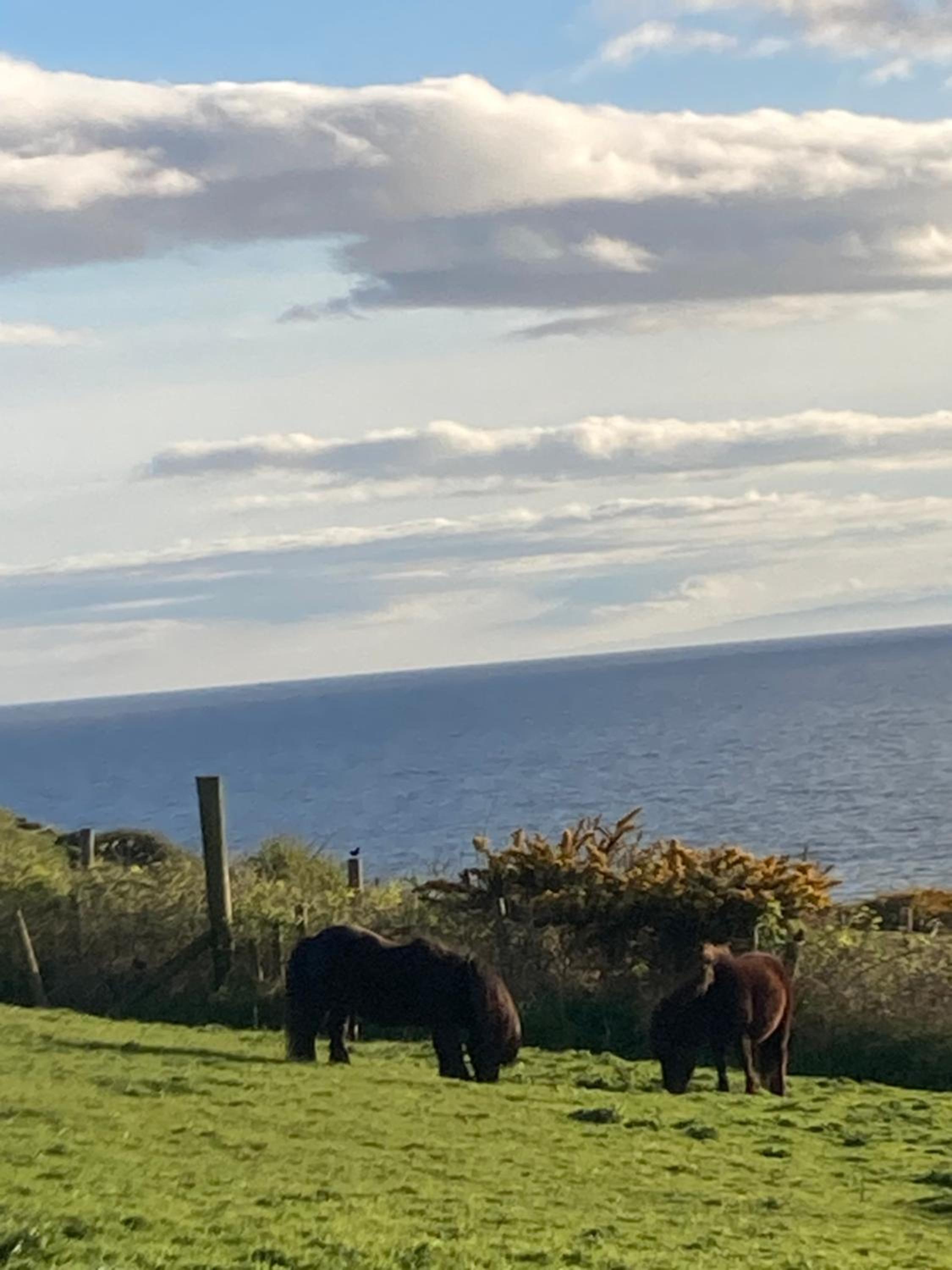 ERIN NEAMH - Magnificent sea views cosy cottage in Cumbria view 2