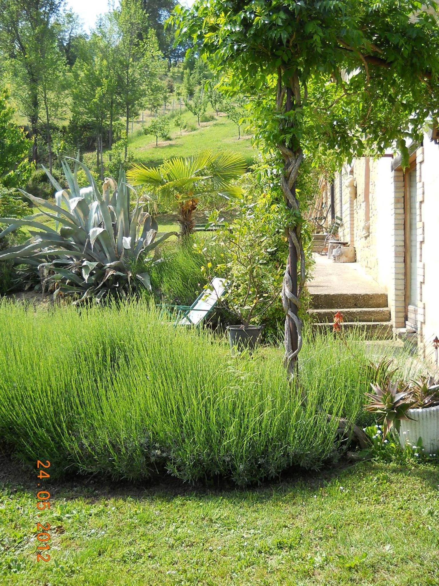Agriturismo Bellavista