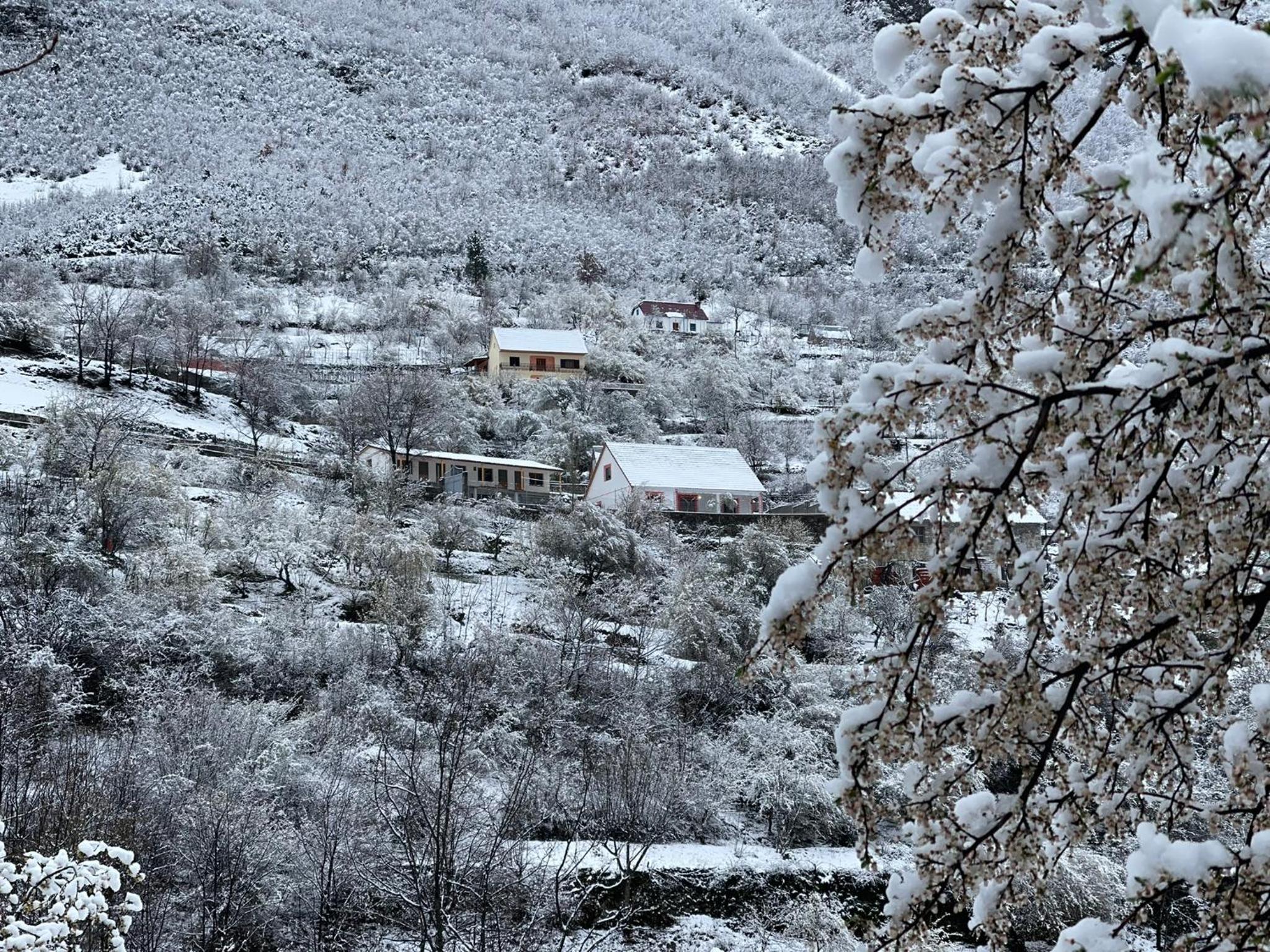 Turi-Selcë