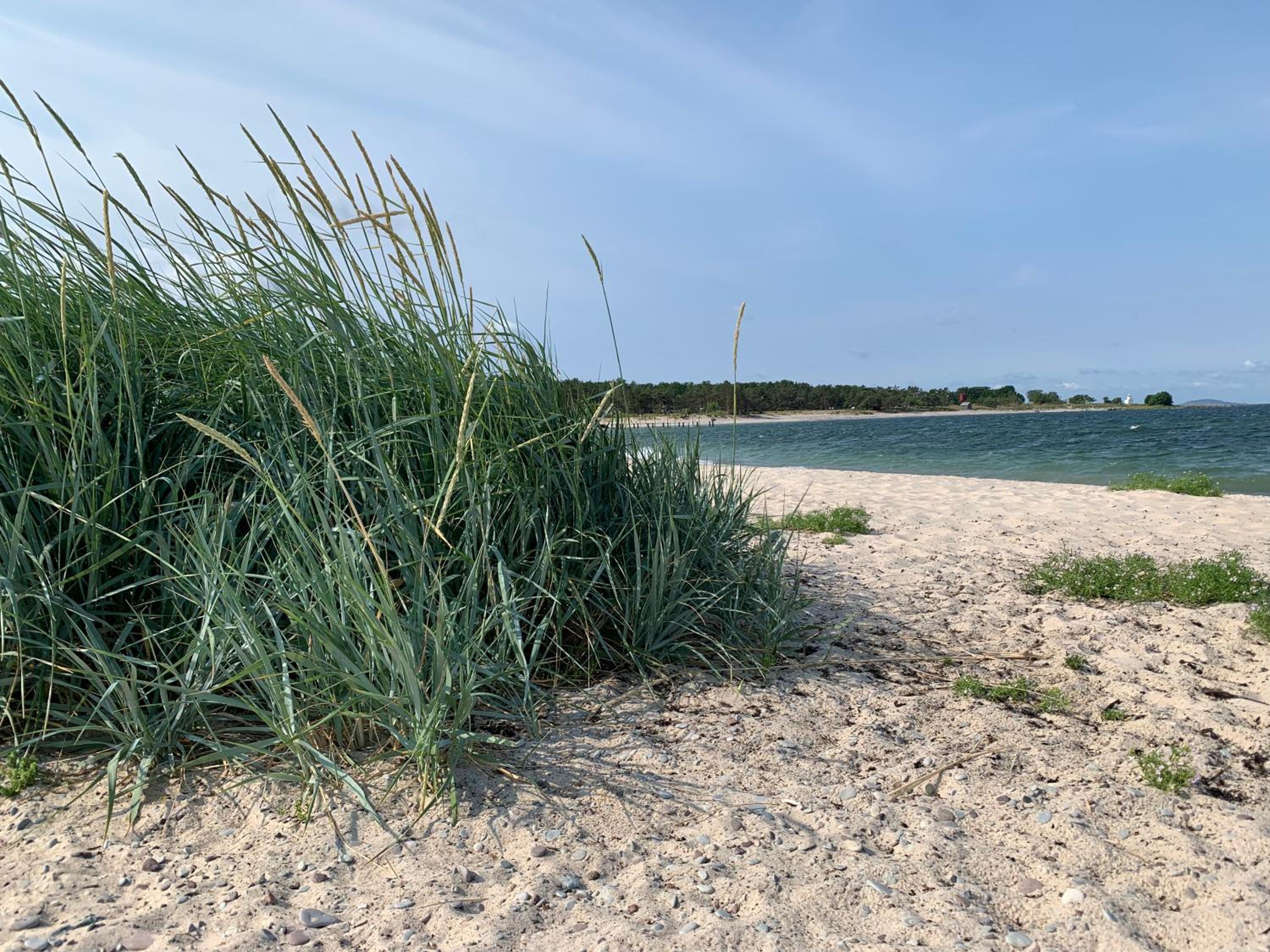 Strandlägenhet Byxelkrok, Öland