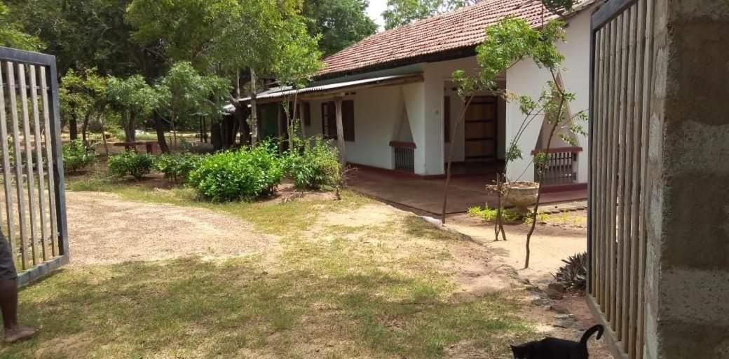 Bundala Resort