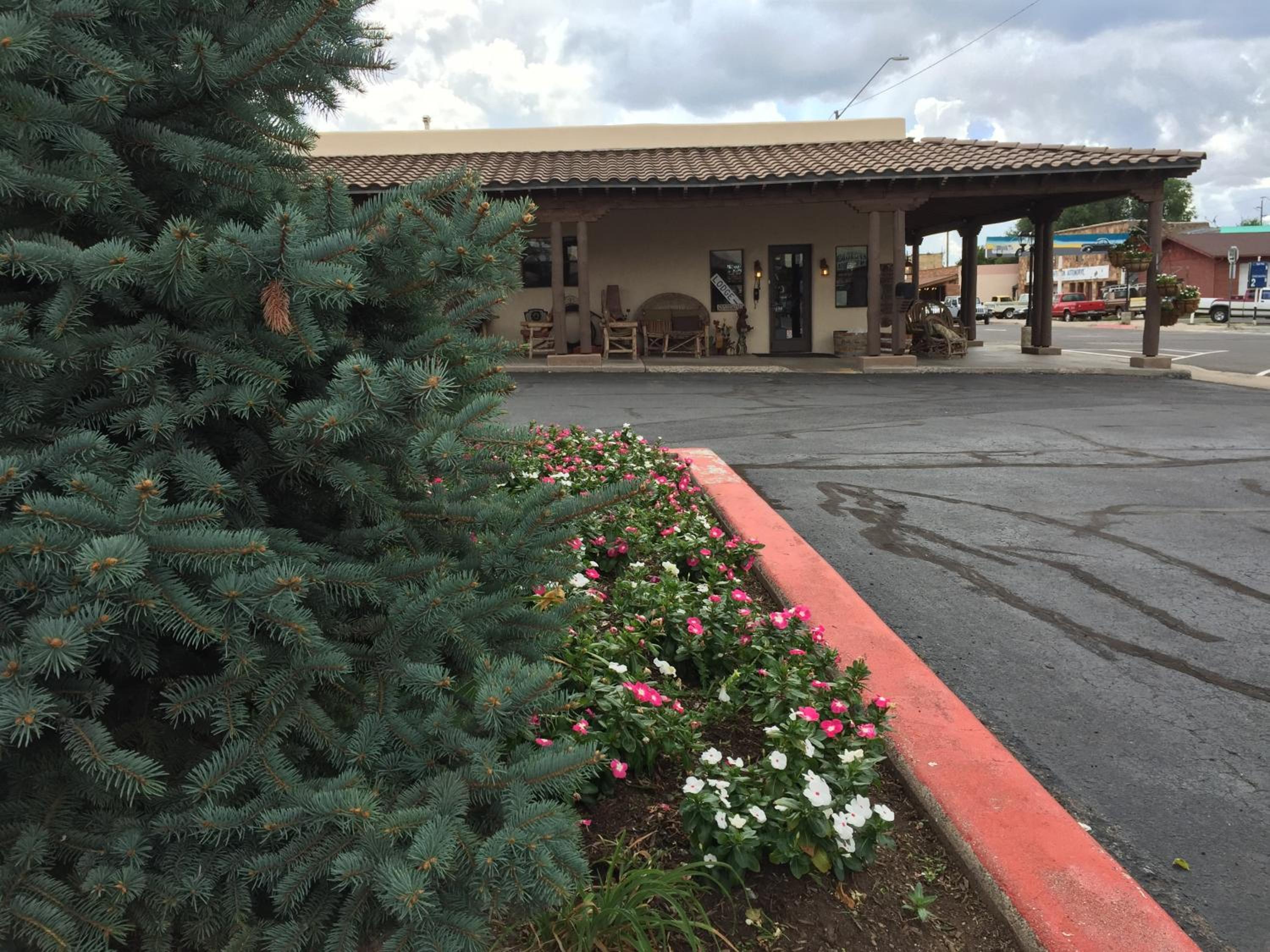 Photo 14
