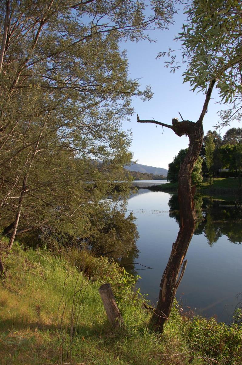 Eildon Pondage Holiday Park