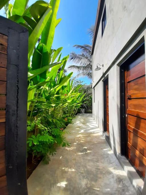 EL NIDO, Lugadia, Concrete House with Small Garden view 2