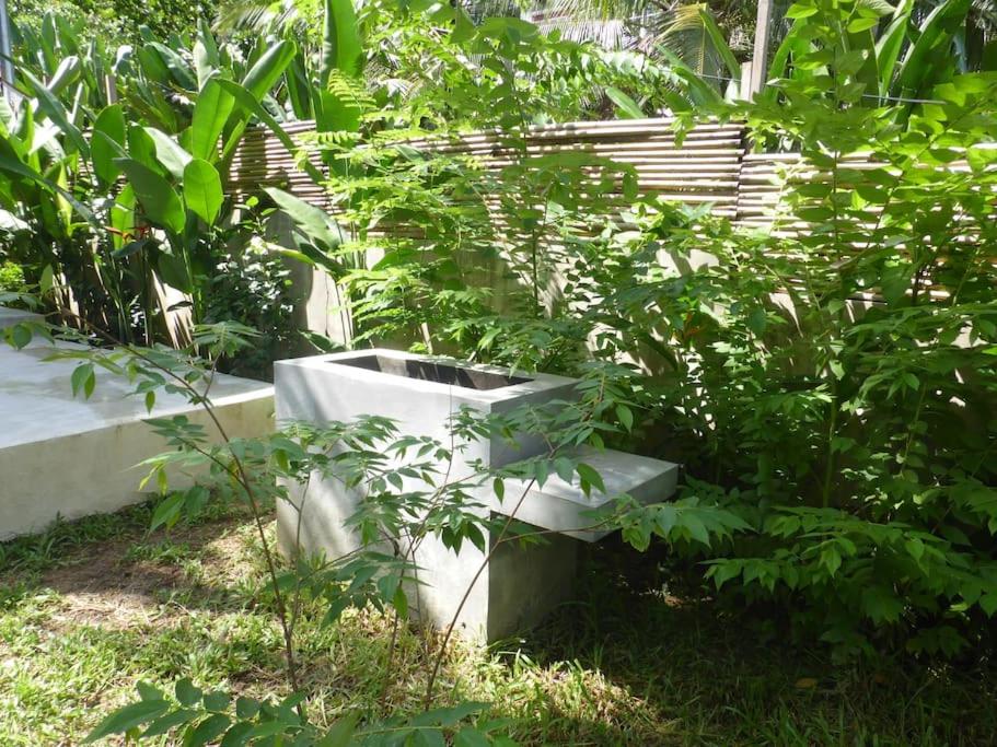 EL NIDO, Lugadia, Concrete House with Small Garden view 3