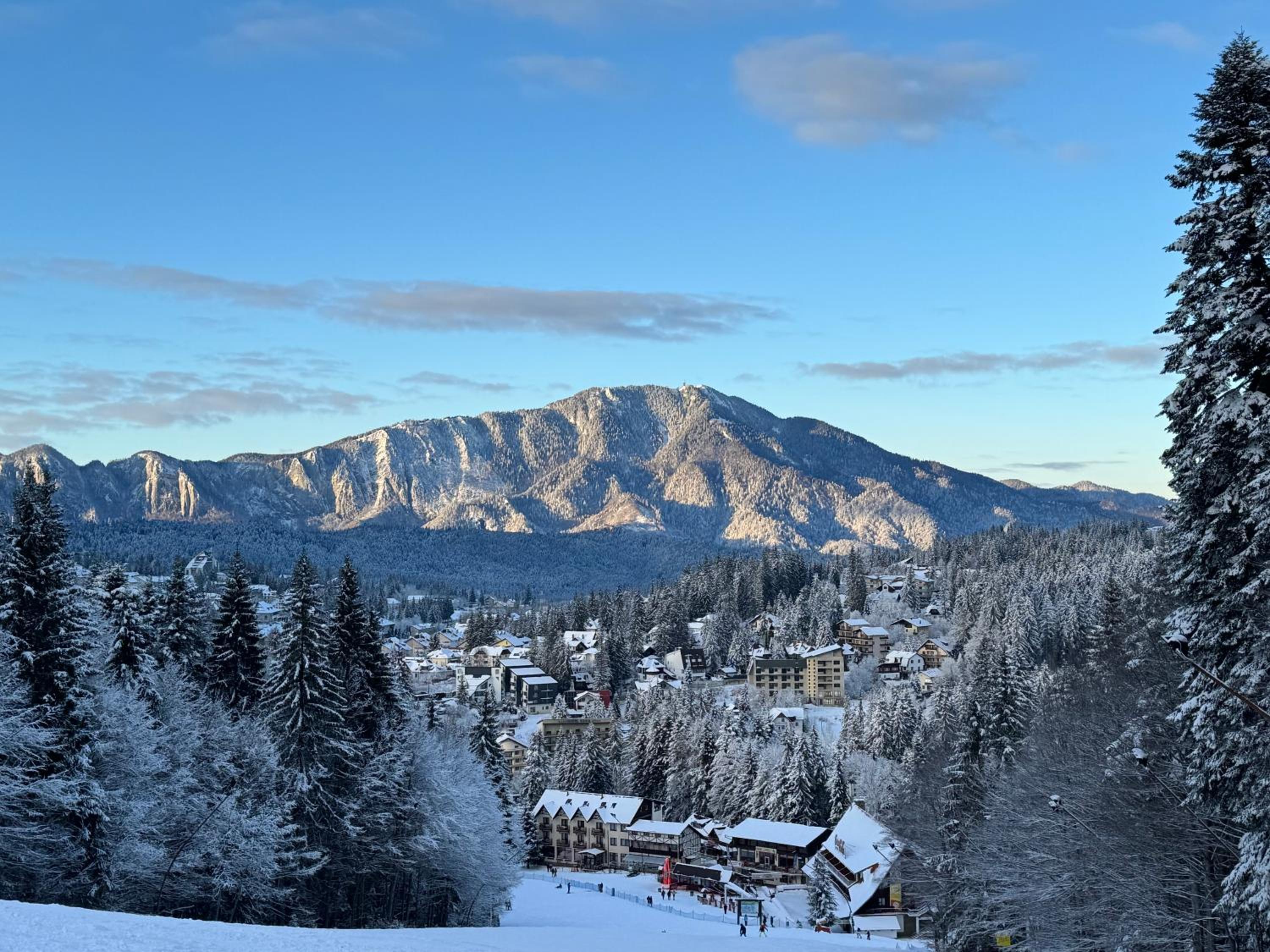 Pine Peak