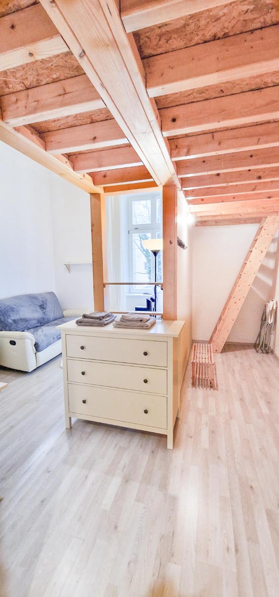 Cozy Karlín Loft City Center