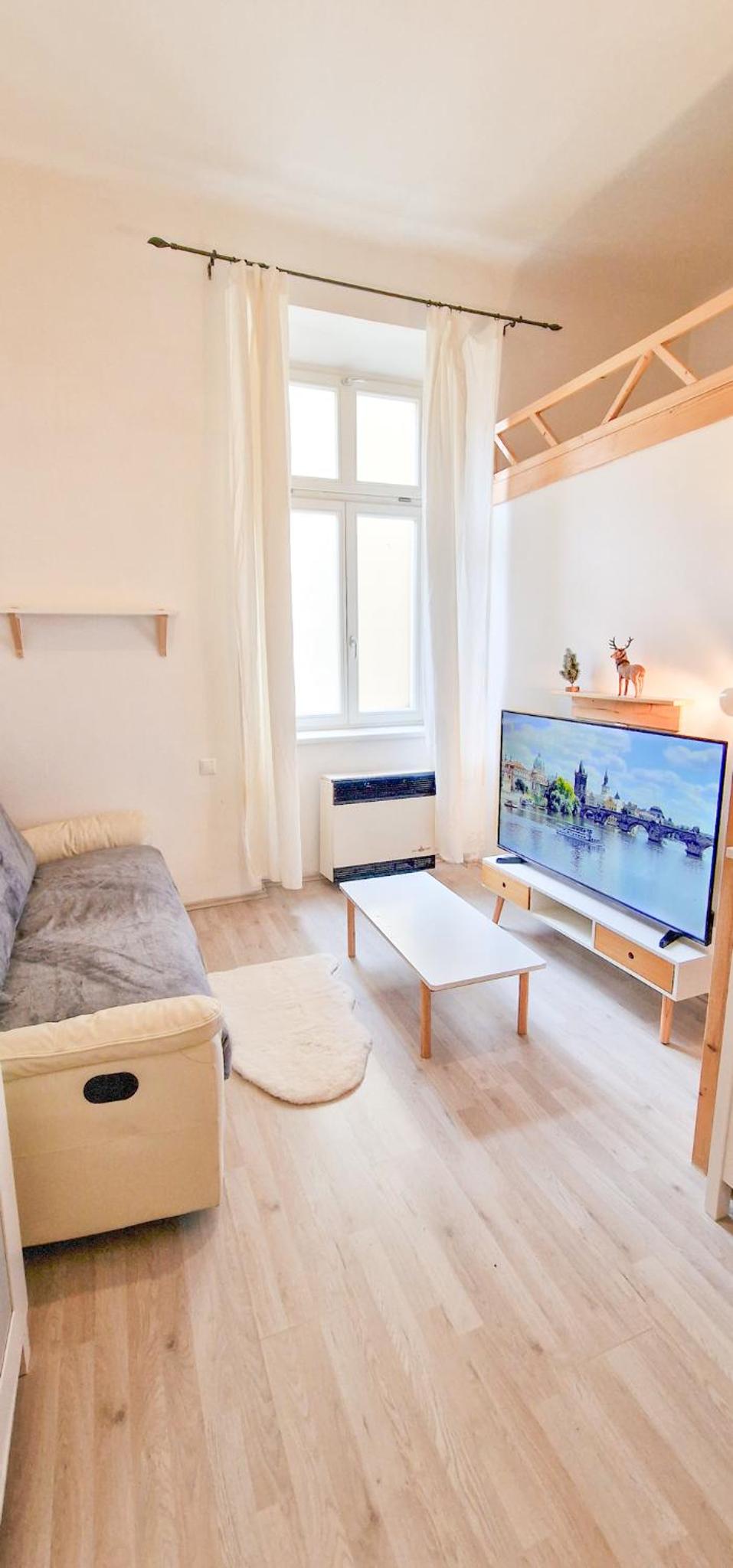 Cozy Karlín Loft City Center