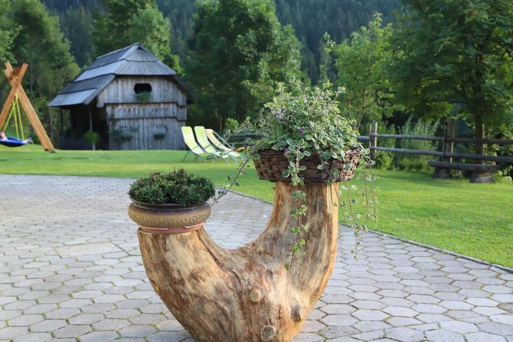 Tourist Farm Kladje view 3