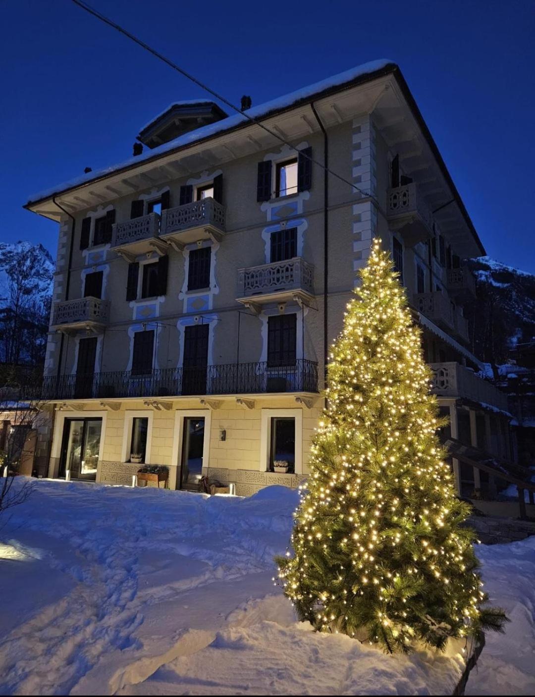 MAISON IDA