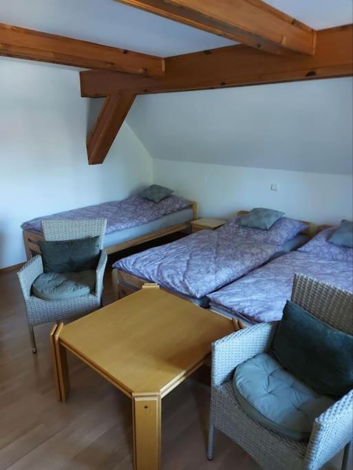 Apartmán U Davida