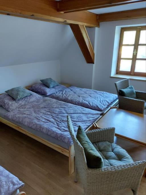Apartmán U Davida
