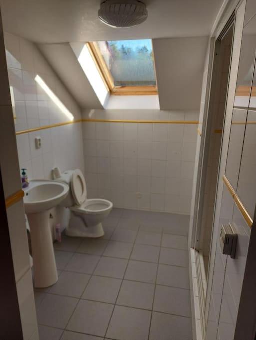 Apartmán U Davida