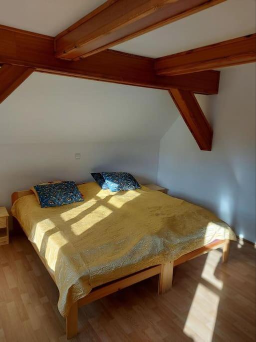 Apartmán U Davida