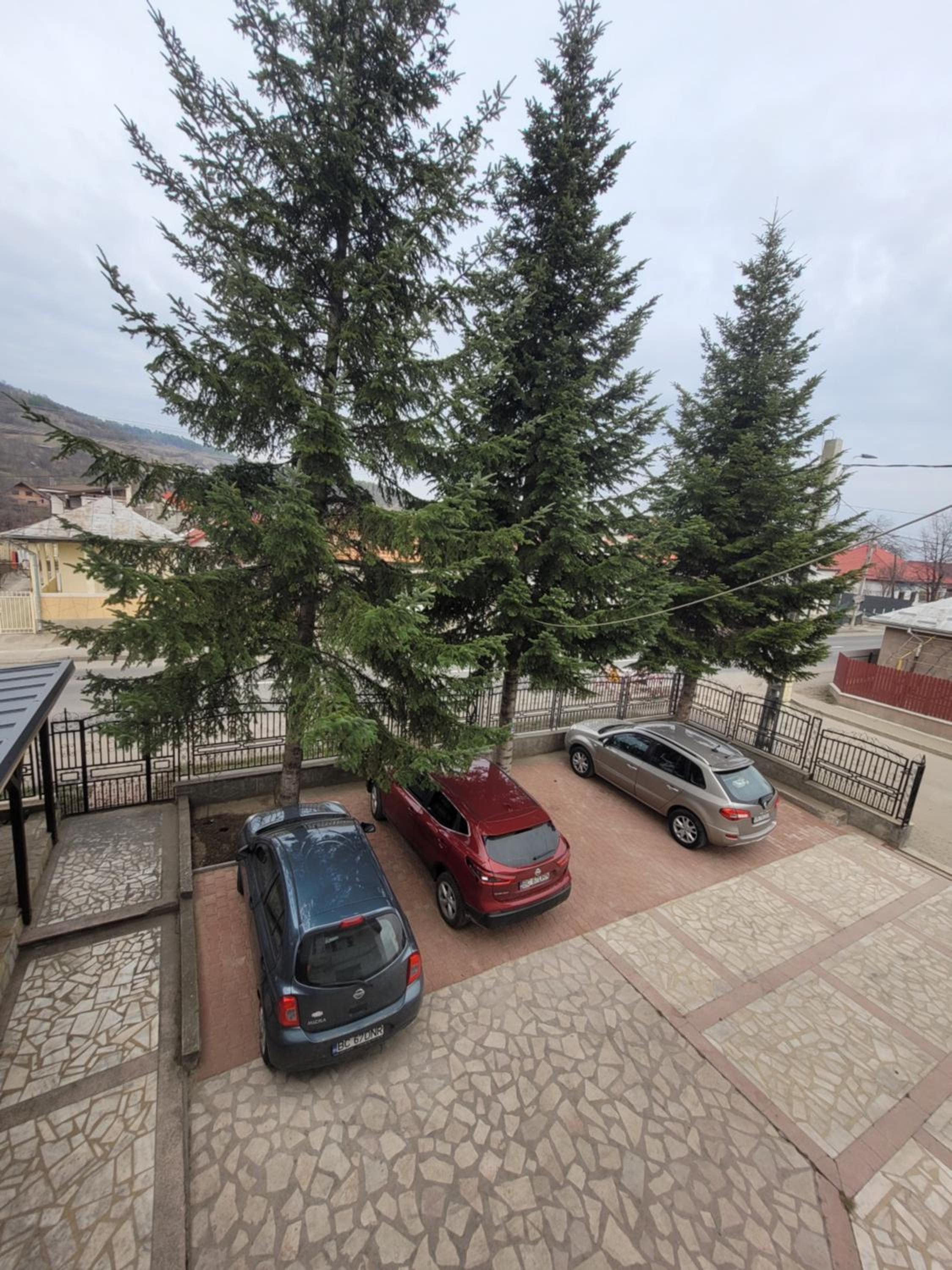 Pensiunea Trei Brazi