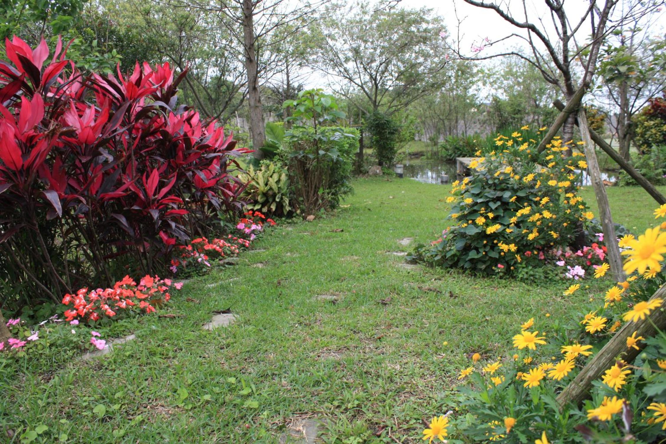 Photo 21