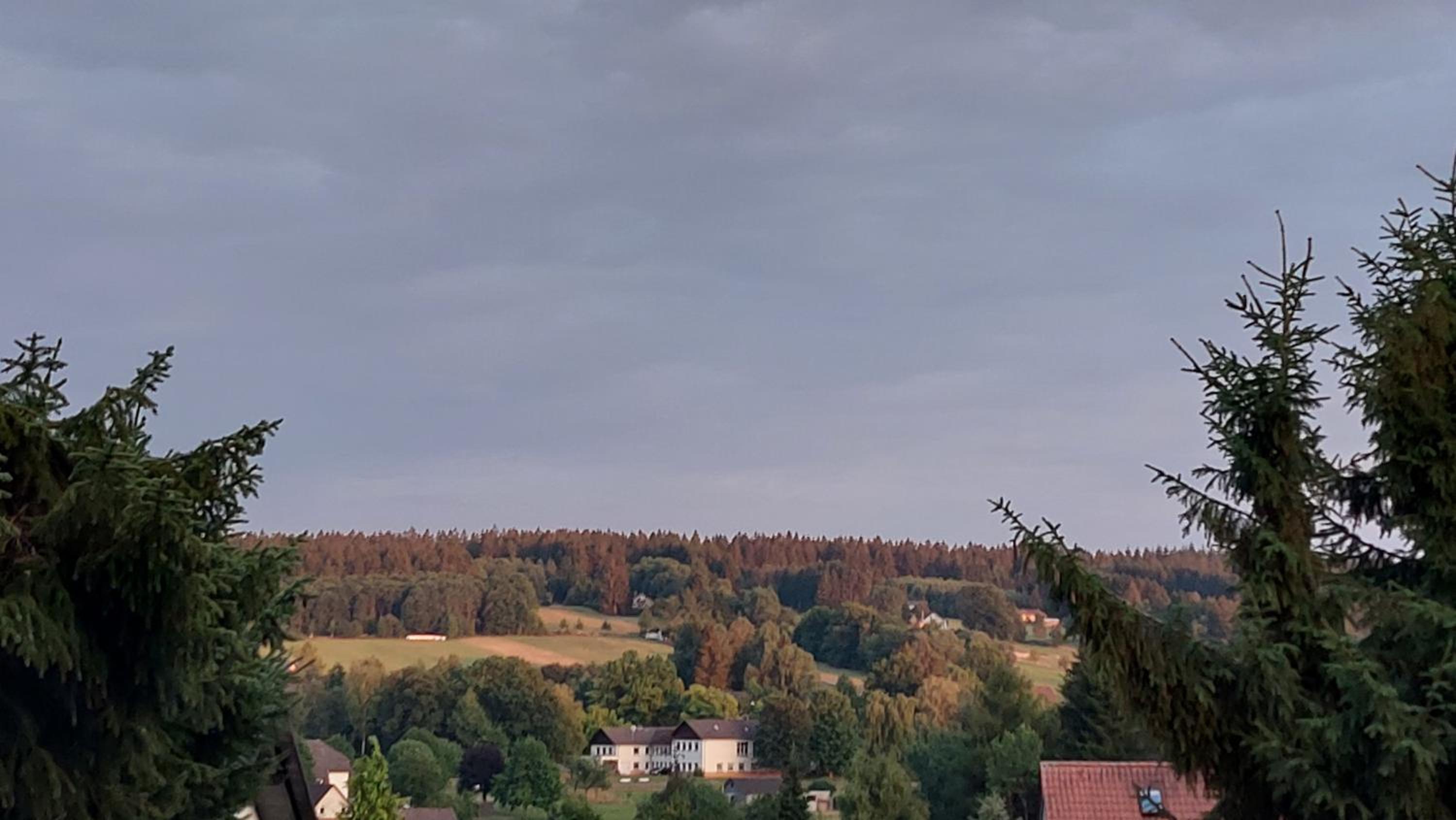Fewo Silberborn - Weserbergland (Fam. Oehler) - Property Image 19